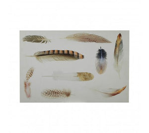 Premier Feather Wall Plaque - 2800748